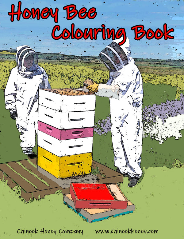 Visit our Beehive Colouring Book